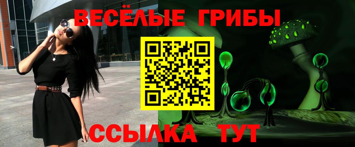 Галлюциногенные грибы MAGIC MUSHROOMS  Вход с VPN  Семёнов 