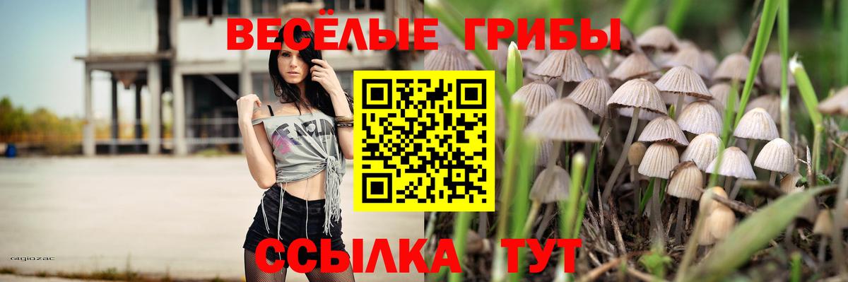 Псилоцибиновые грибы Psilocybe Семёнов